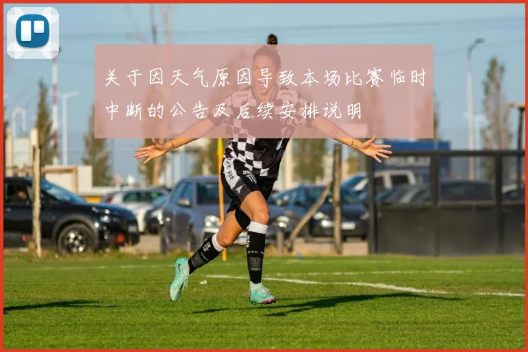 关于因天气原因导致本场比赛临时中断的公告及后续安排说明