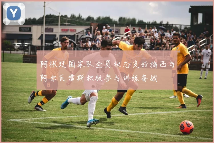阿根廷国家队全员状态良好梅西与阿尔瓦雷斯积极参与训练备战